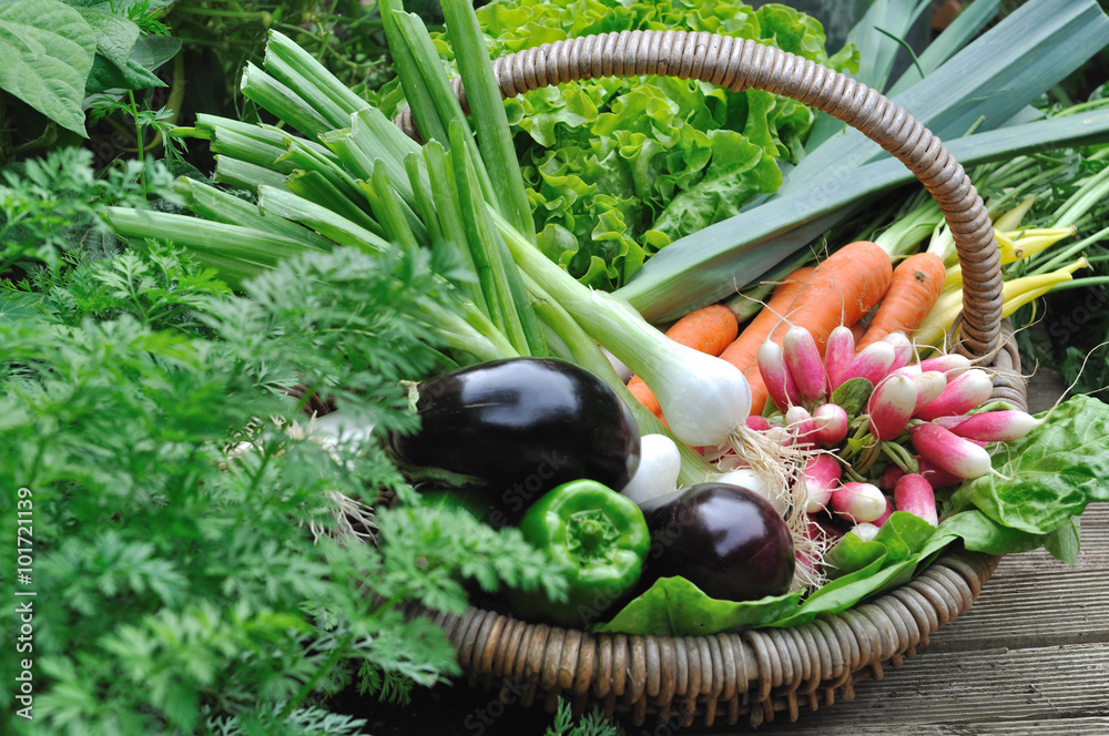 Composition du panier de légume pour 2 personnes